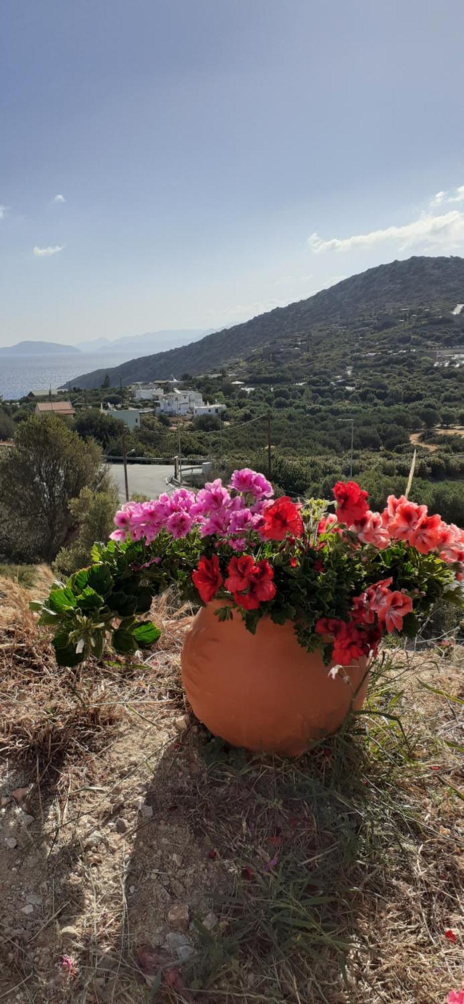 Hari Apartments Vathi, Agios Nikolaos Crete Exteriér fotografie