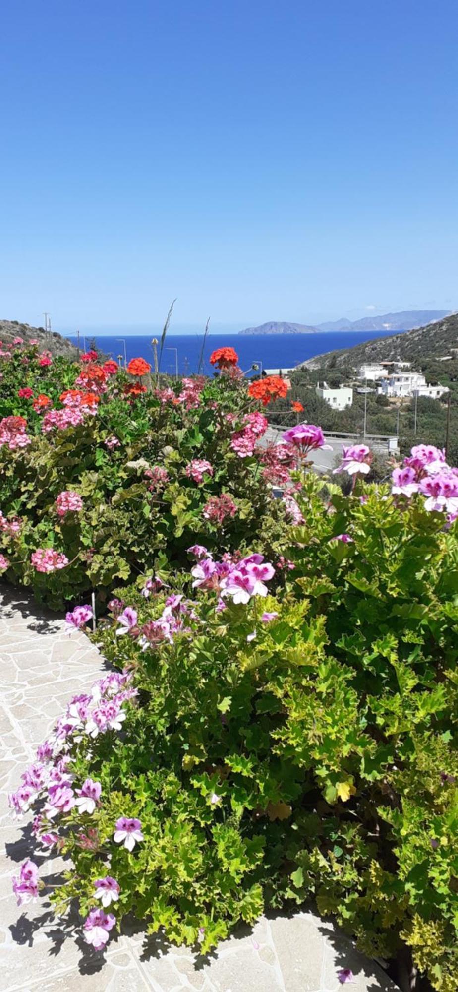 Hari Apartments Vathi, Agios Nikolaos Crete Exteriér fotografie